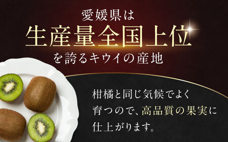 グリーンキウイ （4L、16玉）【2026年2月中旬から順次発送】グリーンキウイ[AGAO002]