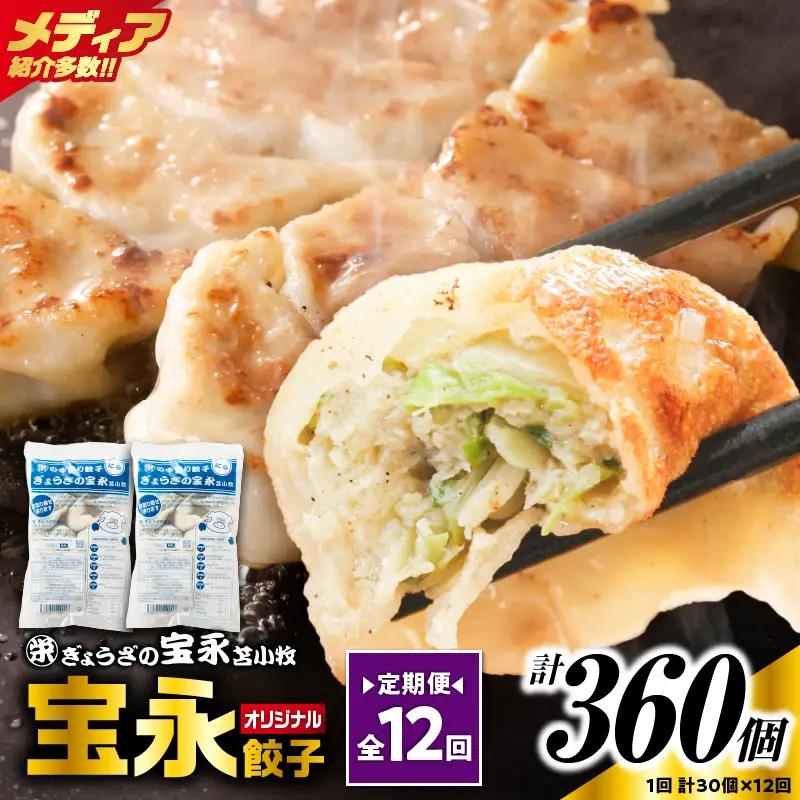 【定期便・全12回 毎月】手包み餃子 ぎょうざの宝永 宝永餃子30個セット（宝永餃子15個入×2袋） T004-T01-02-05 定期便 定期 惣菜 総菜 餃子