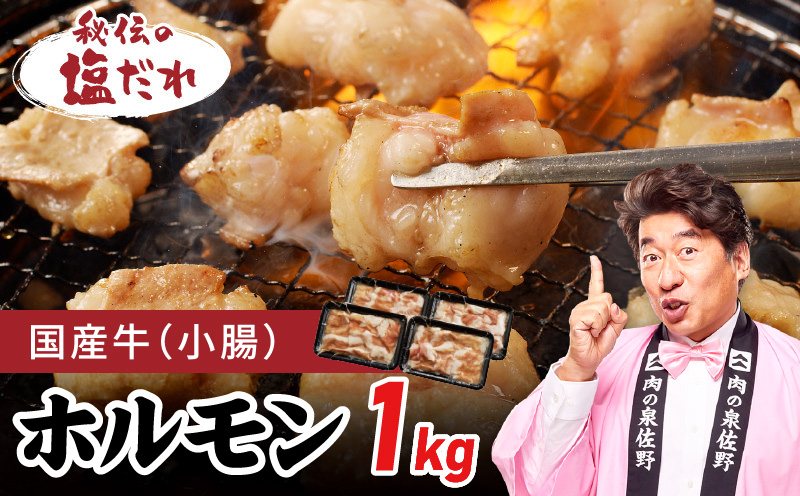 国産 牛肉 ホルモン 1kg 塩だれ漬け 焼肉用 小分け 250g×4P【牛肉 焼肉用 焼くだけ 小分け BBQ やきにく 数量限定 大阪 泉佐野 大阪府 泉佐野市】