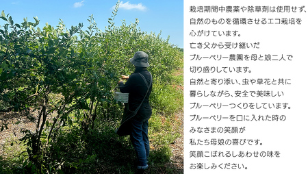 《 先行予約 》ブルーベリー 大小不揃い 約 1kg【2025年6月下旬頃より発送開始】訳アリ B品 お得 甘い 甘酸っぱい 産地直送 おやつ デザート ジャム スムージー