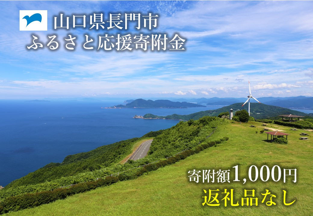 
(10099)返礼品なし 山口県長門市ふるさと応援寄付金 1,000円分
