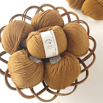 ふるさと納税 江南市 あみもねっと ウルグアイウール並太 9番色 10玉セット