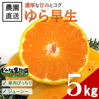 【2026年10月下旬～発送】濃い!どの坂果樹園のゆら早生みかん　約5kg(2S～Lサイズ)先行受付【配送不可地域：離島・北海道・沖縄】【1753104】