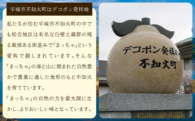 先行予約 不知火 訳あり品 しらぬい わけあり 柑橘類 みかん ミカン 蜜柑 9kg 約30〜40玉 果物 くだもの フルーツ 九州産 熊本県産 宇城市産 国産 雑誌 MORE 掲載商品 松川果樹園 