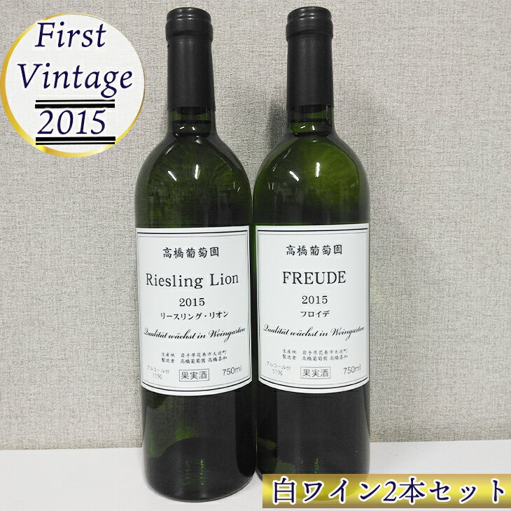 【ふるさと納税】高橋葡萄園 白ワイン 750ml×2本 セット ファーストヴィンテージ2015 リースリング・リオン フロイデ 10周年記念 花巻市