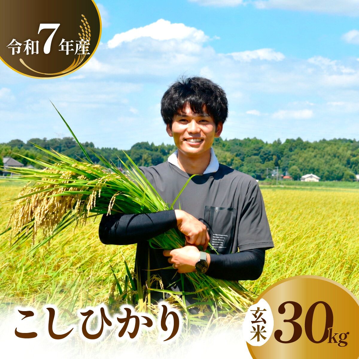 【ふるさと納税】令和7年度 コシヒカリ 玄米 30kg 農家直送 | コシヒカリ こしひかり 米 お米 おこめ こめ 白米 ごはん ご飯 厳選米 茨城県産 こしひかり 産地直送 国産 冷めてもおいしい 美味しい こだわり いばらきみどり認定 甘みが強い ふっくら 艶やか 茨城県 龍ケ崎市