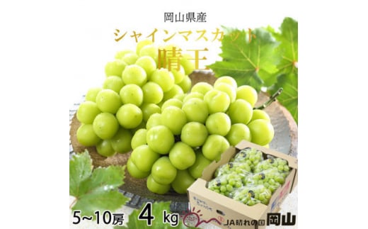 ＜2025年7月発送＞岡山県産　シャインマスカット　晴王　4kg(5房～10房)【1365939】