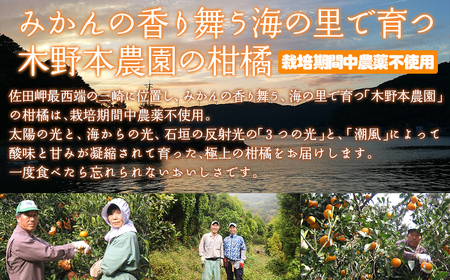 【栽培期間中農薬不使用】【先行受付】【数量限定】農園直送！愛媛県産不知火 5kg （2027年2月頃より順次発送） IKTG007
