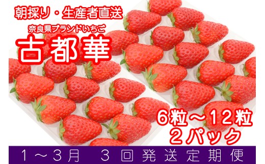 【広陵町×曽爾村連携返礼品】3ヶ月定期便 奈良県ブランドいちご 古都華 1～3月発送 約270g2パック(6～15粒入り) / いちご イチゴ 古都華 フルーツ 果物 旬 限定 ブランド 朝採り 完熟 いちご ことか イチゴ 先行予約 古都華 数量限定 古都華 甘い 先行受付 定期便