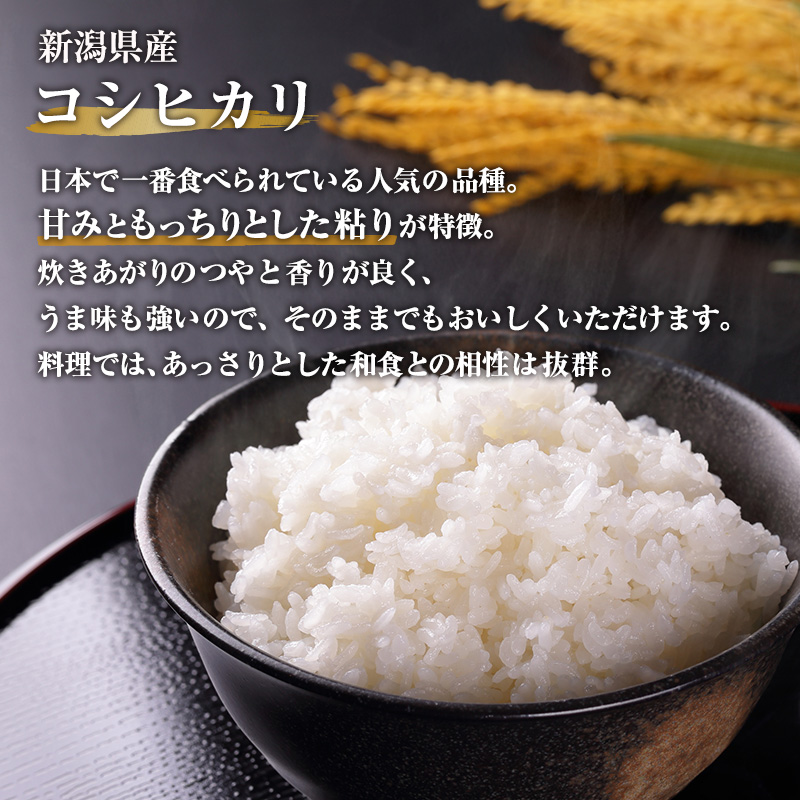 【ふるさと納税】米 ６ヶ月定期便 令和５年産 新潟 コシヒカリ ５kg 白米 精米 精米仕立てを発送致します