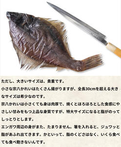 【数量限定】【緊急支援品】宗八かれいの一夜干し 4枚入 冷凍 カレイ 北海道 事業者支援 中国禁輸措置