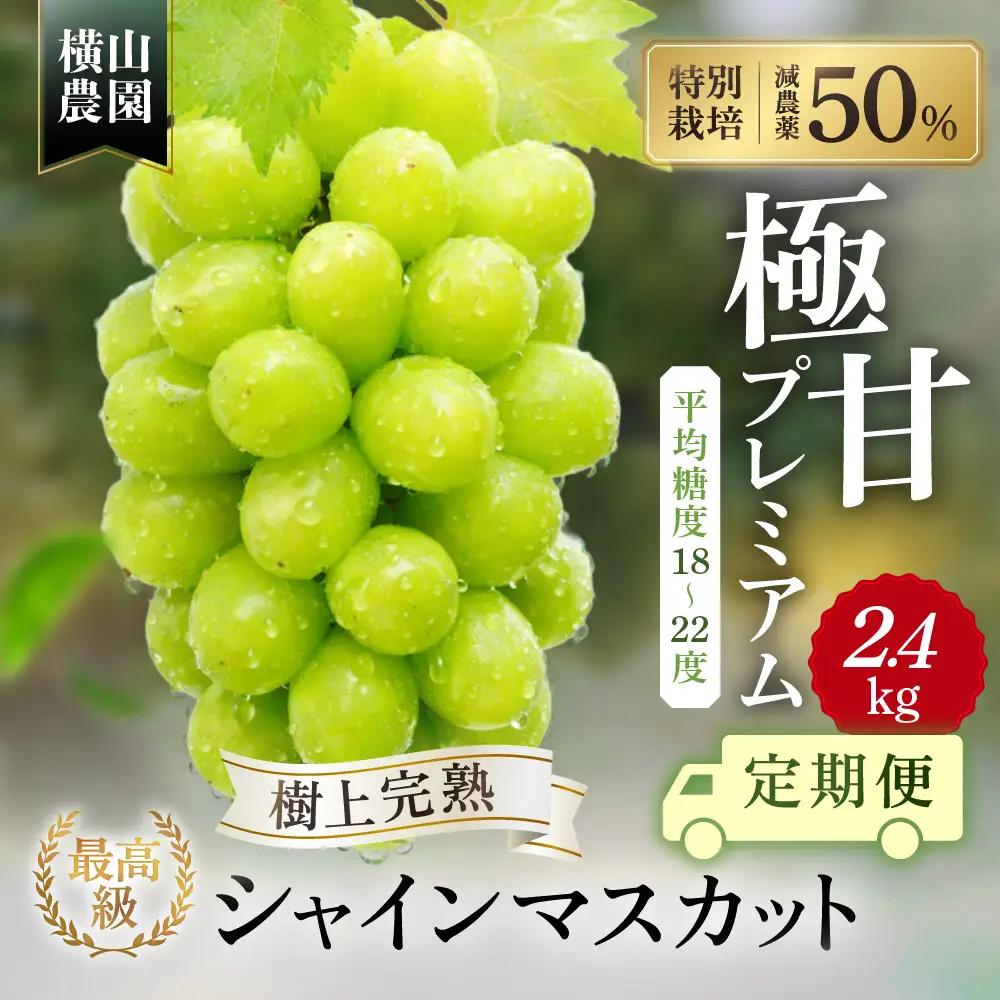 【先行予約】定期便　樹上完熟 シャインマスカット（特別栽培）2.4㎏／4房　3回 山梨シャインマスカット
