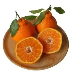  不知火ジュース CRAFT ORANGE 100％果汁 2本 / 早生みかん 早生 ミカン 柑橘 不知火 ジュース deuce じゅーす フルーツ 果物 紀州産 和歌山県【kjt012-1】