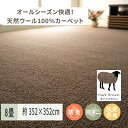 【ふるさと納税】天然ウール100%の 防炎 カーペット 1枚 8帖 ダークブラウン 約352×352cm 600023780｜防炎 防ダニ 抗菌加工 防音 オールシーズン ウールカーペット インテリア 天然素材 [3529]