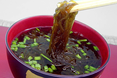【期間限定】今が旬！天然漁場直送の新鮮食材　採れたて活モズク5kg（500g×10）沖縄県産 13-12
