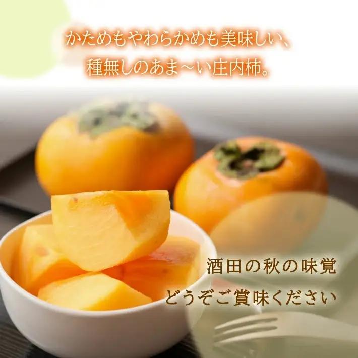 SB0941　酒田産 庄内柿　約5kg(28～32玉入)L～2Lサイズ