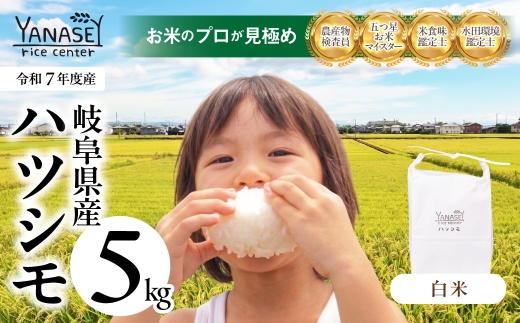≪令和7年度産≫ お米 ハツシモ はつしも 5kg 精米 美味しい 食味鑑定士 五つ星お米マイスター 産直 おいしい kome 米 ブランド米 ごはん 大粒 精米 人気 初霜 幻の米 15000円 1万5千円 柳瀬ライスセンター 岐阜県 大垣市