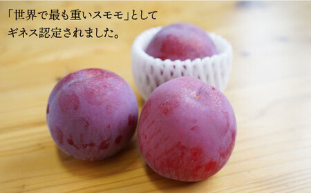 【先行予約】【プラムの王様】 貴陽 （きよう）約2kg（13～15玉）＜竹嶋農園＞ [CEB002] すもも