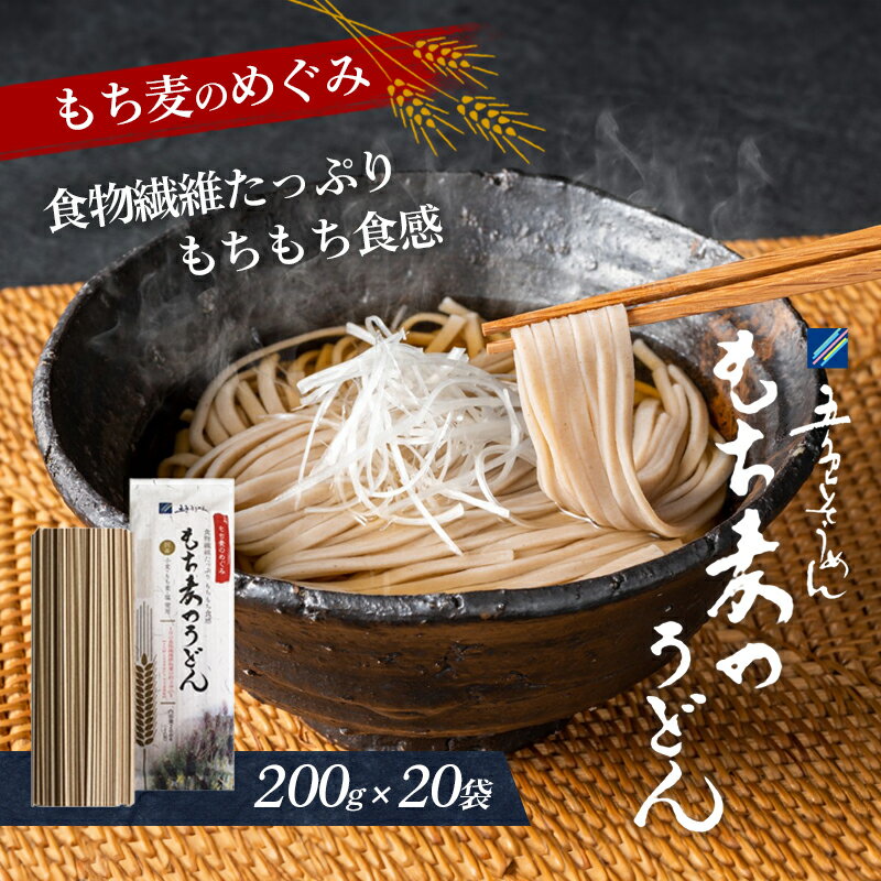 【ふるさと納税】もち麦のうどん(200g×20袋)40食分【愛媛県産もち麦 練り込み 常温 長期保存可 詰合せ 食物繊維 もちもち 食感 冷 温 おすすめ】