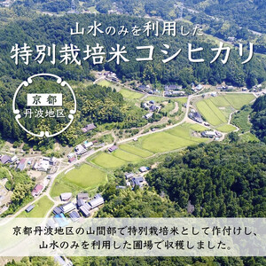 【令和5年産・6か月定期便】コシヒカリ精米5kg×6ヶ月【 特別栽培米 星ひかり 星原ファーム 綾部 京都 丹波 こしひかり お米 米 5キロ 6ヶ月 半年間 農家直送 定期便 】