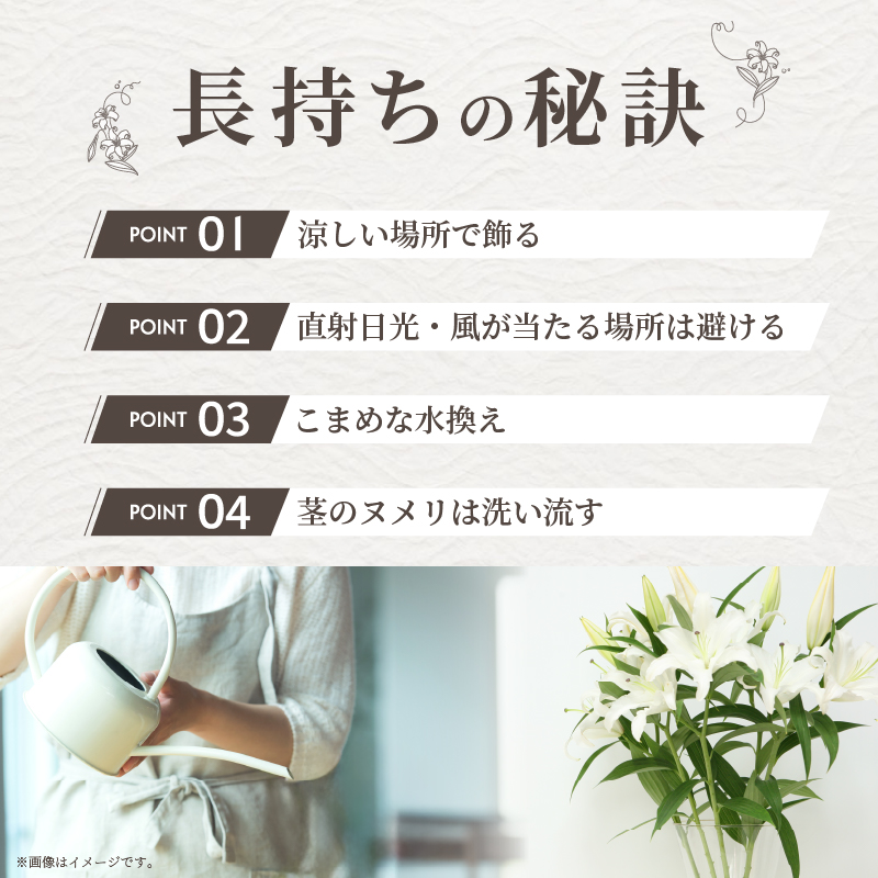【2週間以内発送】≪期間限定≫LA ユリ(白) 約15本_T045-0041【生花 切花 百合 国産 人気 ギフト 花 花束 生花 植物 鑑賞用 贈り物 お土産 送料無料 プレゼント】
