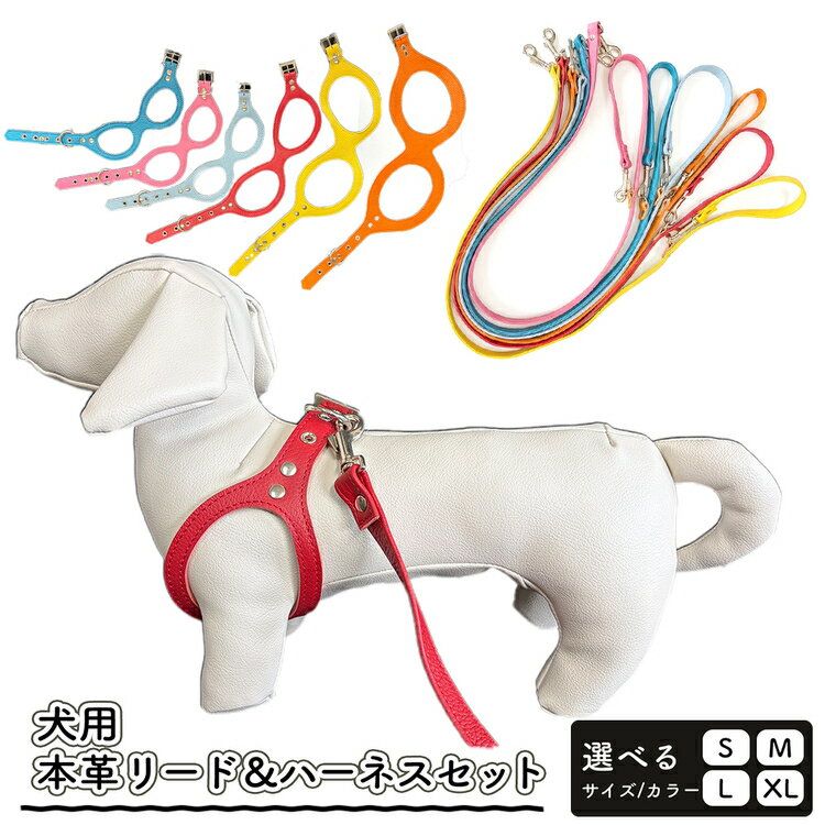 【ふるさと納税】＼選べるサイズ・カラー／犬用・本革リード、ハーネスセット | リード ハーネス セット 犬 おしゃれ