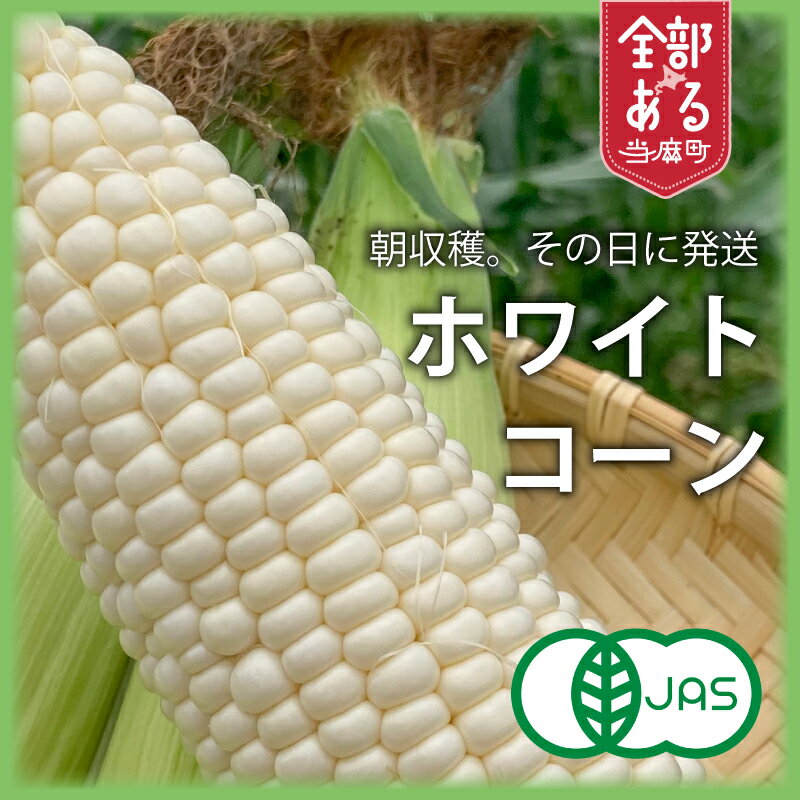 【ふるさと納税】 2026年産予約 ホワイトコーン 有機栽培 無農薬 無化学肥料 北海道 甘い とうもろこし トウモロコシ コーン 北海道産 野菜 アサンテファーム 朝採り 朝採れ 新鮮 旬 コーン 数量限定 送料無料 当麻町 お取り寄せ