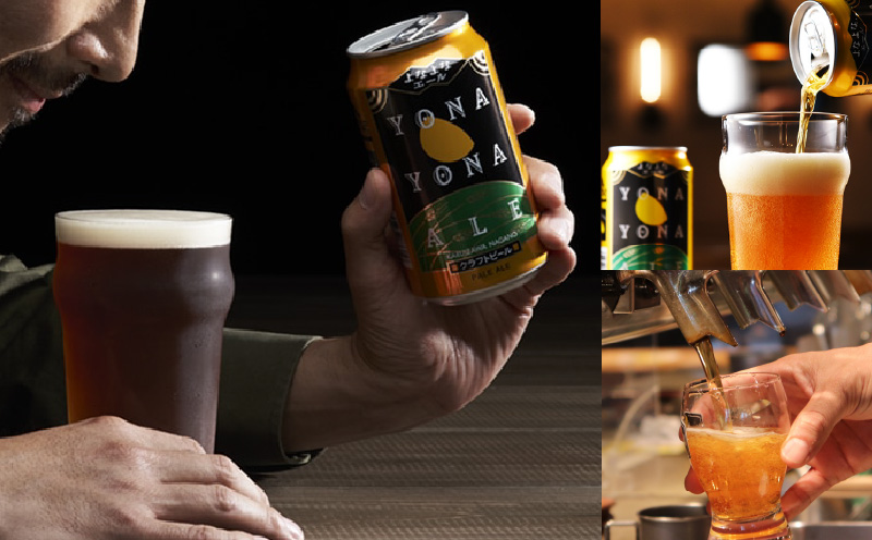 よなよなエール 定期便 24本×全4回 毎月発送【クラフトビール ビール お酒 びーる 晩酌 ふるさと納税限定 泉佐野オリジナル ヤッホーブルーイング】 G3949