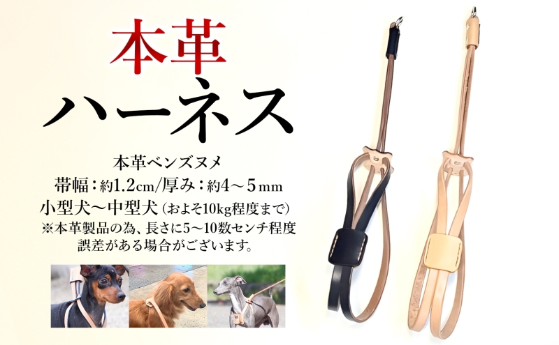 小型～中型犬対応スライドコントロールハーネス【ナチュラル】