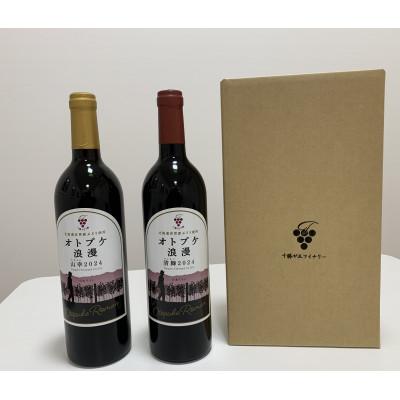 ふるさと納税 音更町 ワイン オトプケ浪漫山幸2024・清舞2024 2本セット