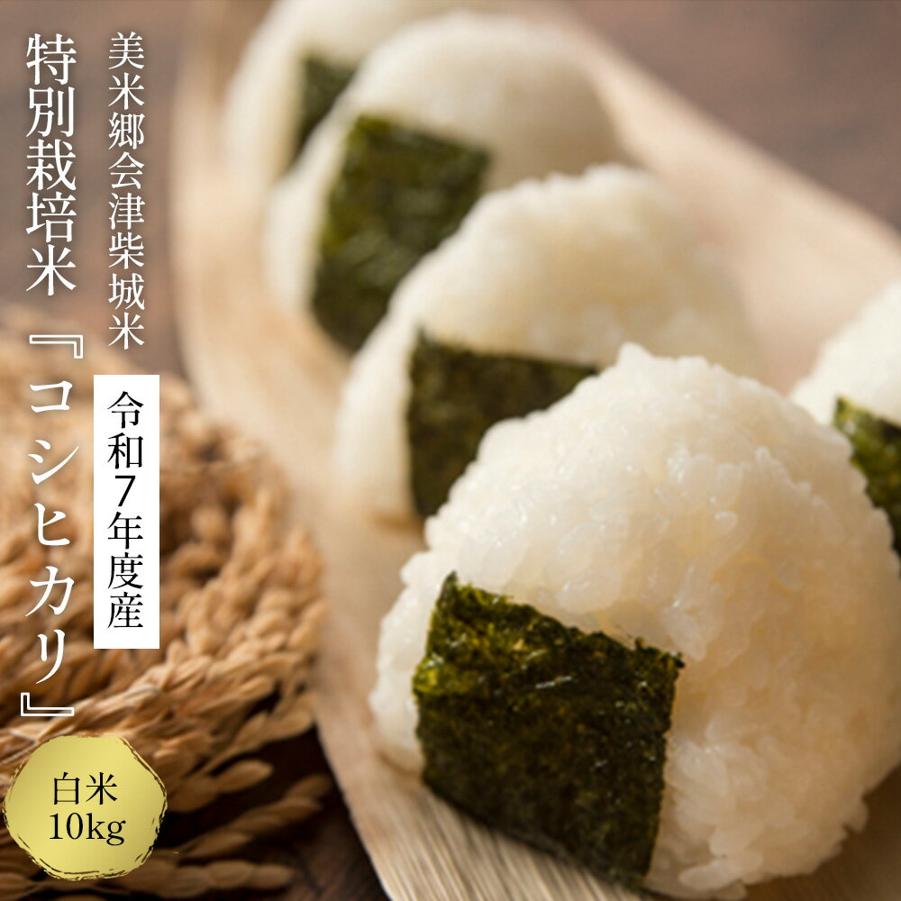 【ふるさと納税】令和7年産　美米郷会津柴城米　特別栽培米コシヒカリ　白米　10kg　【07208-0436-C】