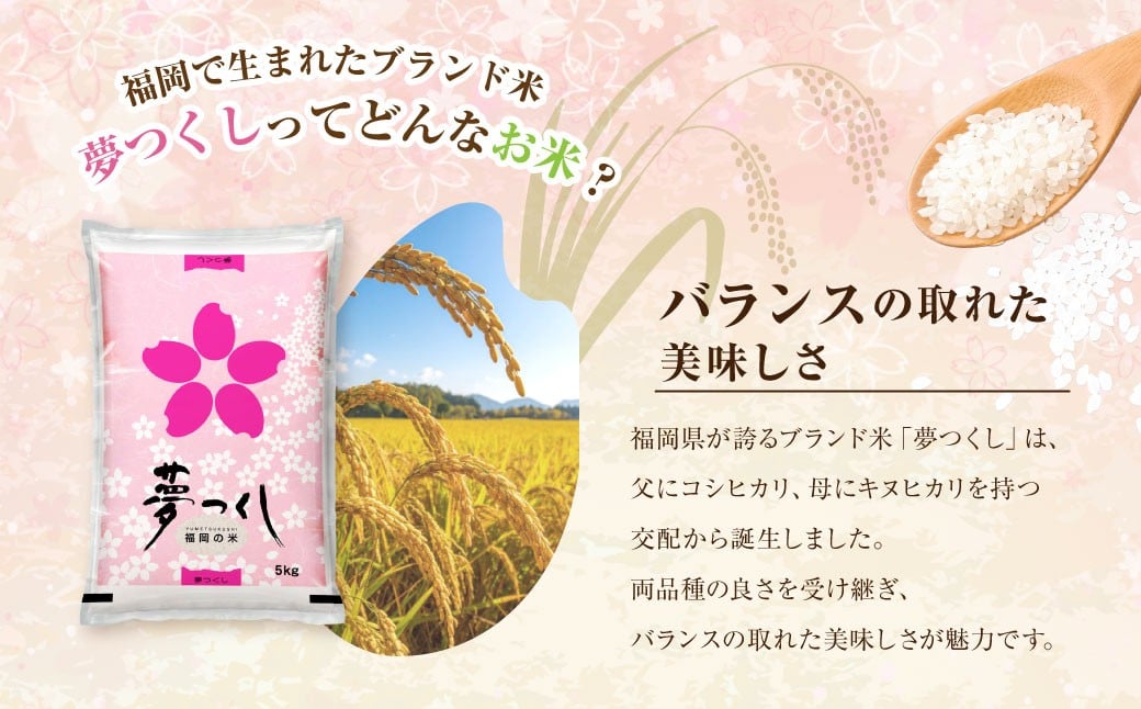 【令和7年産】 福岡県産 夢つくし 無洗米 10kg（5kg×2） ／ ゆめつくし お米 米 ご飯 ブランド米 九州 福岡県 岡垣町