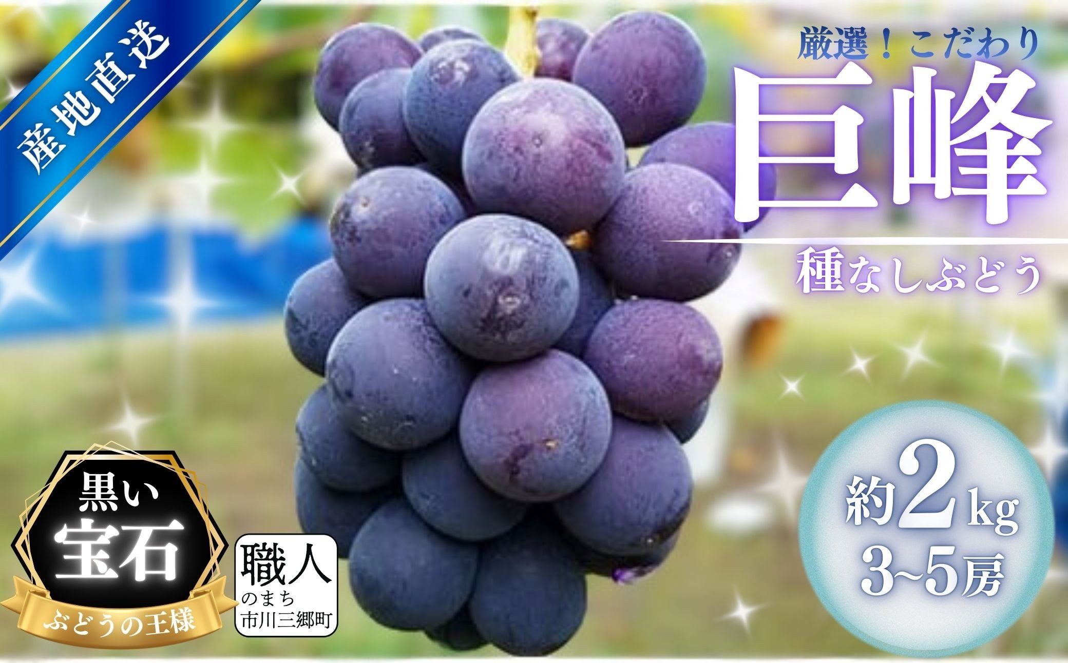 
            【2026年8月中旬から発送】朝採り！タネなし 巨峰　2kg箱　小沢農園[5839-1500]
          