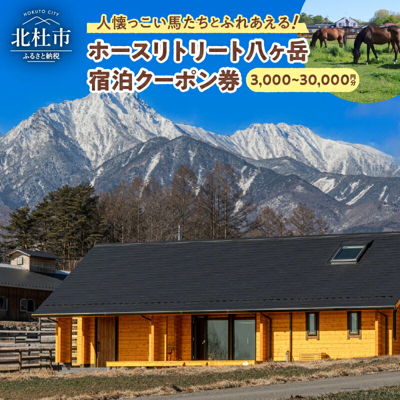 【ふるさと納税】 宿泊 クーポン券 選べる金額 3,000円分 ～ 30,000円分 宿泊券 養老牧場 体験 自然 山梨県 北杜市 八ヶ岳