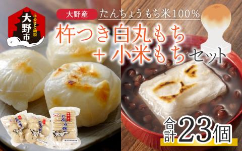 【先行予約】【年内配送】「杵つき白丸もち16個＋小米もち7枚のセット」 大野産たんちょうもち米使用【12月24日までの入金確認分は年内お届け】