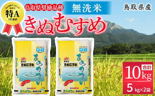 【2月発送】＜無洗米＞鳥取県産 きぬむすめ （5kg×2袋） パールライス お米 米 こめ コメ 白米 ブランド おいしい 健康 産地直送 米10キロ 無洗米 きぬむすめ