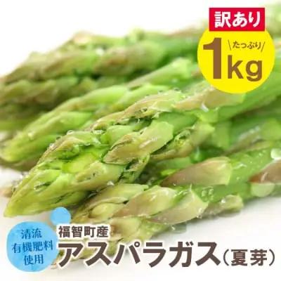 Z18-23 【訳あり】清流・有機肥料使用 アスパラガス(夏芽) 1kg 【2026年6月より順次出荷】