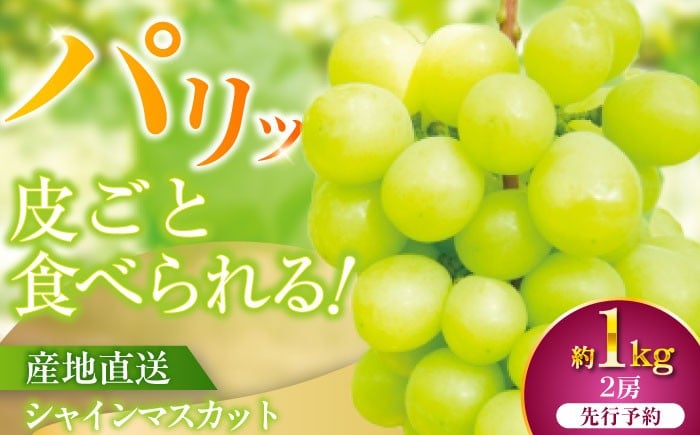 
                  [伊万里産]山和農園のシャインマスカット1kg（2房）
                