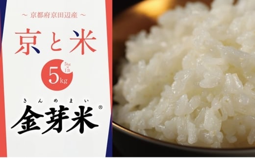 【先行予約】京都山城産 京と米 金芽米 5kg R7年度産 お米 米 ごはん おにぎり お弁当 健康 玄米の栄養 無洗米 糖質 カロリーオフ 時短 東洋ライス 京都府 京田辺市 kt2026