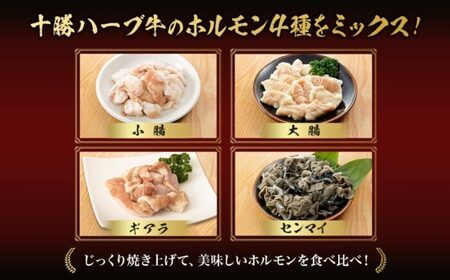 北海道 十勝ハーブ牛 味付けホルモン 梅じそ 200g 2パック 計400g 梅 しそ 和風 ミックスホルモン ホルモン ギアラ センマイ 国産 国産牛 ハーブ牛 牛肉 牛 お肉 肉 鍋 焼肉 冷凍 