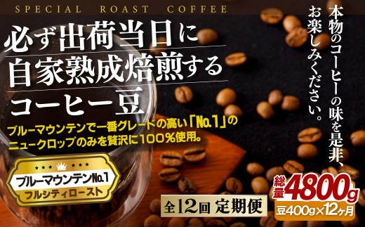 
                  E274z 【12回定期便】必ず出荷日に自家熟成焙煎 ブルーマウンテンNo.1豆(400g) コーヒー豆【SASEBO Coffee TOMINAGA】人気 新鮮 挽きたて 高級コーヒー 本格
                