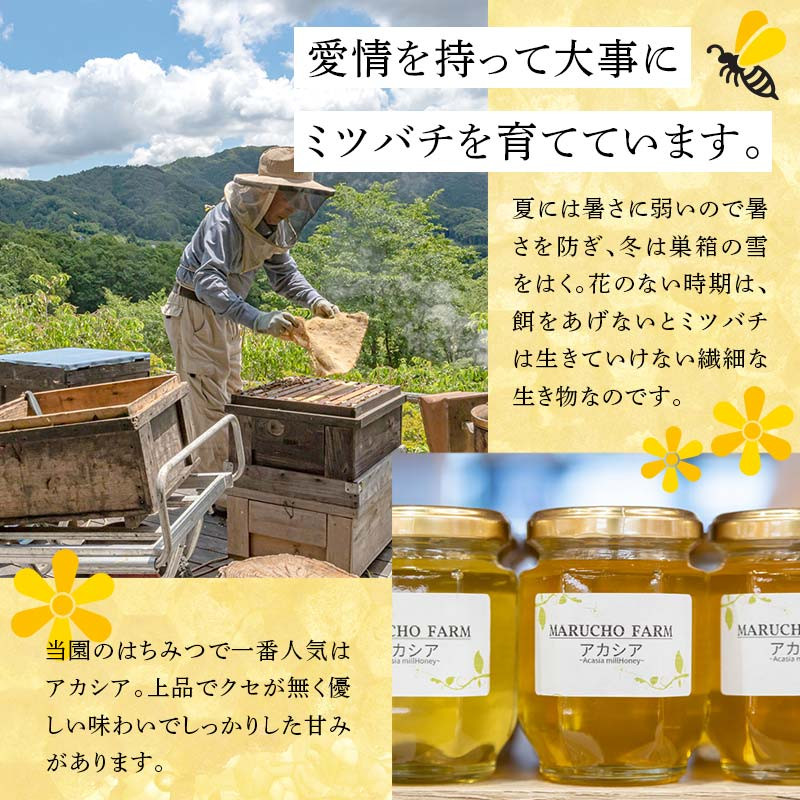 はちみつ 3種詰め合わせ 510g(170g×3) 伊達市産 国産 天然 蜂蜜 ハチミツ ハニー F21C-584