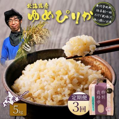 ふるさと納税 羽幌町 【定期便:3回】特別栽培米 ゆめぴりか玄米 5kg(栽培期間中、無化学肥料除草剤一回)【25147】