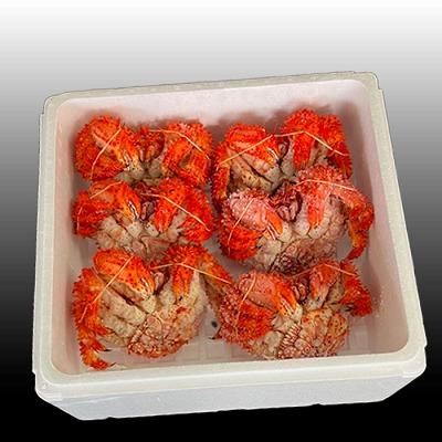 ふるさと納税 根室市 【北海道根室産】花咲かに400g前後〜500g前後×6尾 C-36031 |  | 01