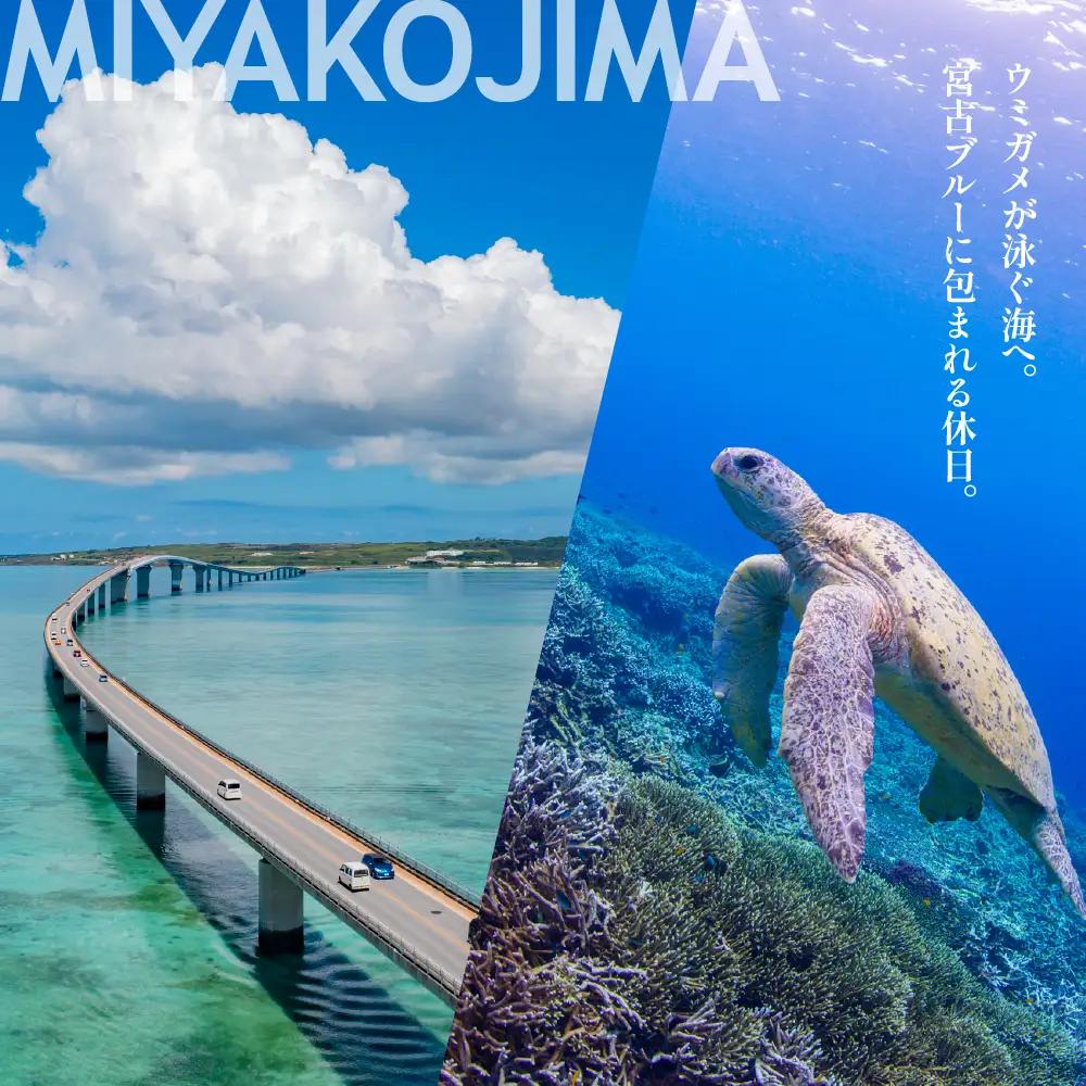 【沖縄ツアー】宮古島 後から選べる旅行Webカタログで使える！ 旅行クーポン（60,000円分） 旅行券 宿泊券 飲食券 体験サービス券（TA02）