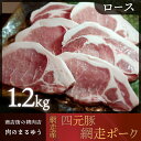 【ふるさと納税】【商店街の精肉店「肉のまるゆう」がオススメする】＜網走産＞四元豚「網走ポーク」ロース 1.2kg 【 ふるさと納税 人気 おすすめ ランキング 四元豚 網走ポーク ロース 豚ロース 豚肉 真空パック 北海道 網走市 送料無料 】 ABU002