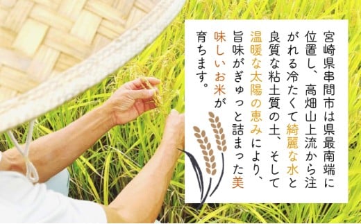 KU160_R7 令和7年産「超早場米」 ミルキークイーン 計10kg（5kg×2）【中島米穀店】