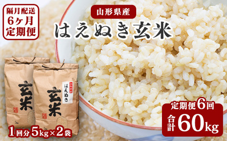 【令和8年産】《6回定期便：10月開始偶数月コース》 はえぬき 玄米 合計60kg （10kg（5kg×2袋）× 6回） 山形県産 【 新米 】 120-C-JF017-偶数月-R8