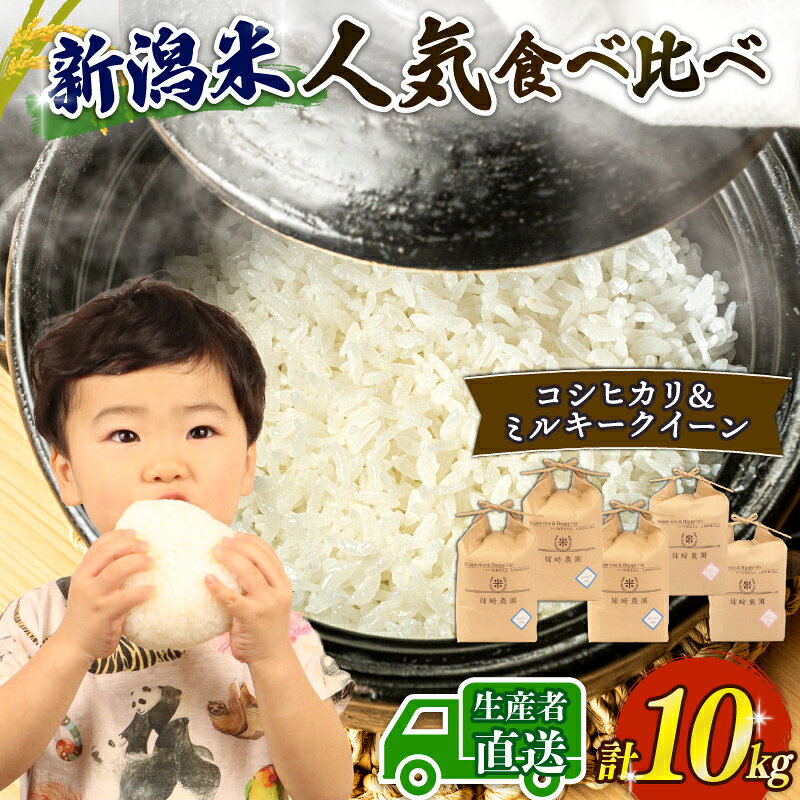 【ふるさと納税】 新米 計 10kg ( コシヒカリ ミルキークイーン ) 特別栽培米 コシヒカリ 6kg (2kg × 3袋) ミルキークイーン 4kg (2kg × 2袋) 食べ比べ 米 令和8年産 こしひかり こめ 大粒 農家直送 産地直送 姉崎農園 新潟県 新発田市 anezaki014