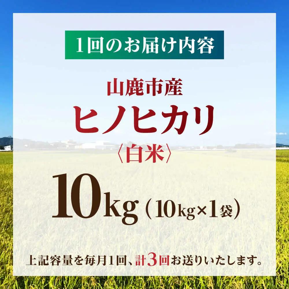 【先行予約】【3回定期便】山鹿市産 ヒノヒカリ 白米  10kg 【奥村果実園】[ZFK014]